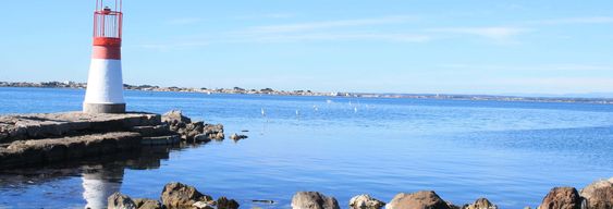 Excursion à l'Étang de Thau avec dégustation d'huître + Balade en bateau