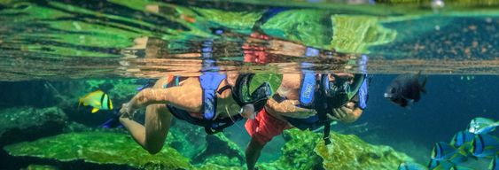 Excursion à Xel-Há