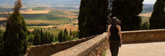 Excursion à Pienza, Monteriggioni et Montalcino