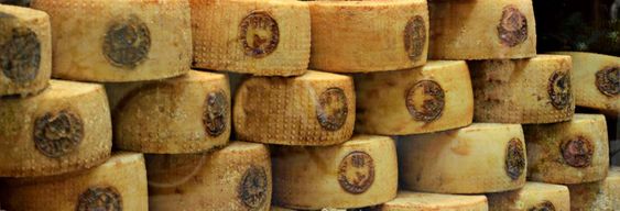 Visite autour du vin et du fromage pecorino