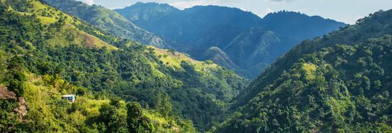 Excursion privée aux Blue Mountains