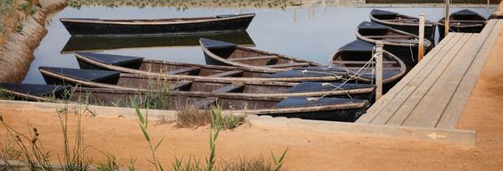 Billet pour MónNatura Delta de l'Èbre