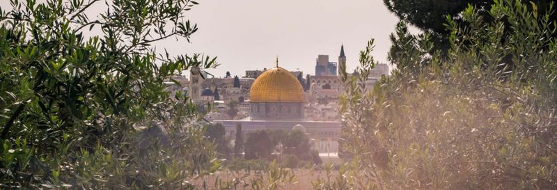 Visite du Mont des Oliviers
