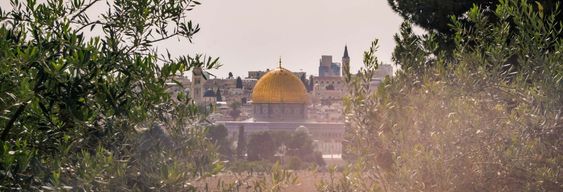 Visite du Mont des Oliviers