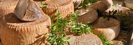 Visite gastronomique de la Sardaigne