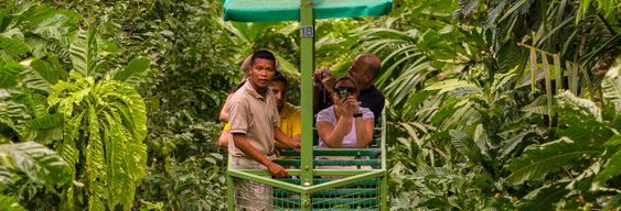 Excursion au parc national de Soberanía et au sanctuaire des paresseux