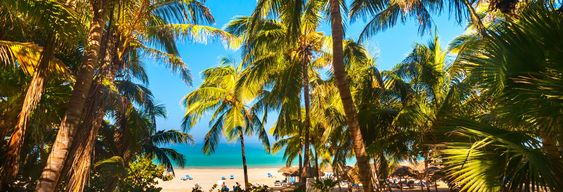 Excursion à Varadero