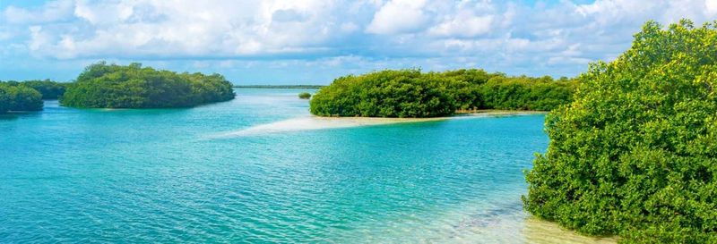 Excursion à Sian Ka'an + Balade à Muyil