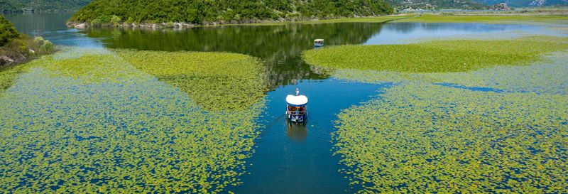 Excursion au lac Skadar, au parc national Biogradska Gora et au canyon de Morača