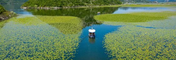 Excursion au lac Skadar, au parc national Biogradska Gora et au canyon de Morača