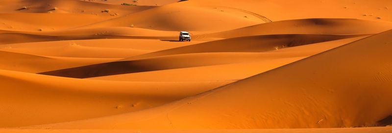 Safari dans le désert avec dîner-spectacle