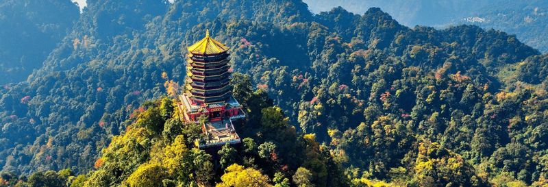 Excursion privée aux monts Qingcheng et Dujiangyan