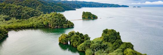 Excursion au Parc National Los Haitises