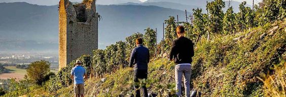 Balade en segway dans Chignin + dégustation de vins