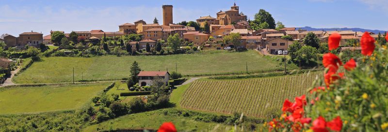 Excursion à Oingt + Visite d'un domaine viticole de Beaujolais