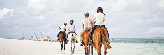 Balade à cheval sur la plage d'Hammamet