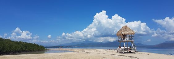 Excursion en bateau sur les îles de Honda Bay