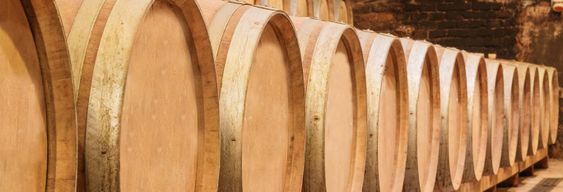 Visite de Bodegas Riojanas avec dégustation de vin
