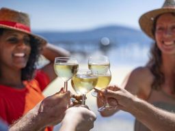 Dégustation d'huîtres et de vins à l'étang de Thau (34)