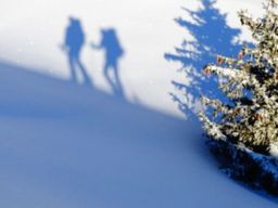 Randonnée en Raquettes autour du Lac de Serre-Ponçon