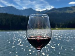 Atelier oenologique au bord du Lac de Bazet (65)