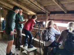 Découverte de la réserve naturelle des Marais Vigueirat (13)