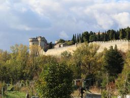 Billet pour le Fort Saint-André à Villeneuve-lez-Avignon (30)