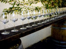 Visite du domaine et cours d'œnologie près de Nantes (44)