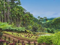 Billet pour le Jardin de Balata en Martinique