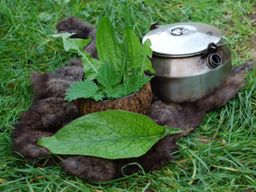 Stage de Survie 2 jours 