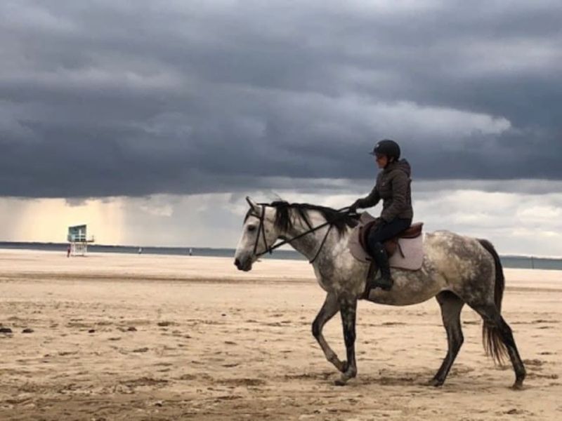 Balade à cheval campagne et plage près de Deauville (14)