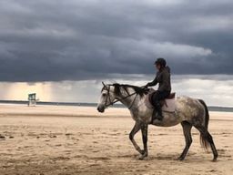 Balade à cheval campagne et plage près de Deauville (14)