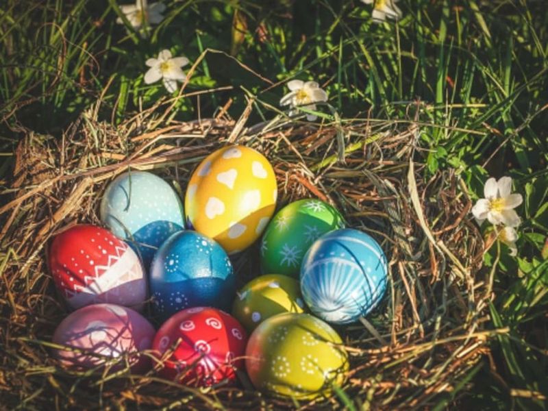 Chasse aux oeufs à la Réauté