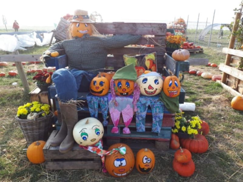 Billet Atelier citrouille d'Halloween à la cueillette de Peltre (57)