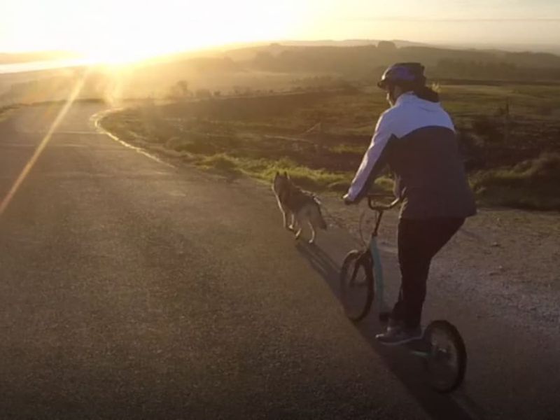Cani-trottinette aux Monts d'Arrée (29)