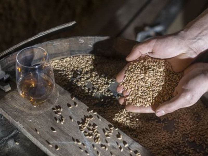 Atelier assemblage de whisky au Château du Barroux (84)