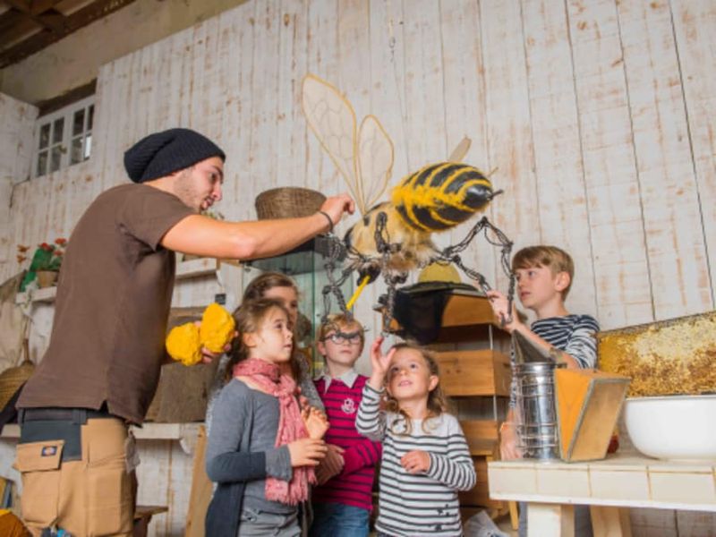 Atelier Abeilles & Animaux à la Ferme de Gally St-Cyr-l'Ecole