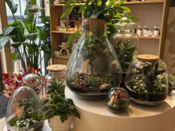 Atelier parent / enfant terrarium à Lille (59)