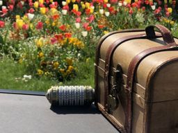 Chasse au trésor du Panthéon au Louvre à Paris 5ème