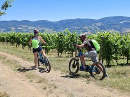 Randonnée à Trottinette électrique dans l'Ouest Lyonnais (69)