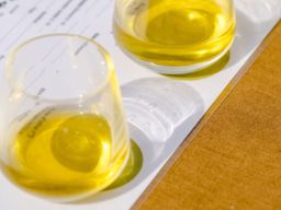 Dégustation d'huile d'olive Maison de la truffe à Ménerbes (84)