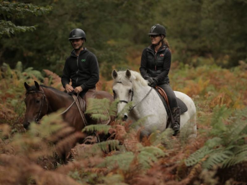 Balade à cheval en forêt dans les Yvelines (78)