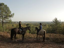 Escapade privée à cheval en forêt dans les Yvelines (78)