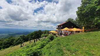 Zagreb : randonnée au belvédère de Japetić et dégustation de vin à Plešivica