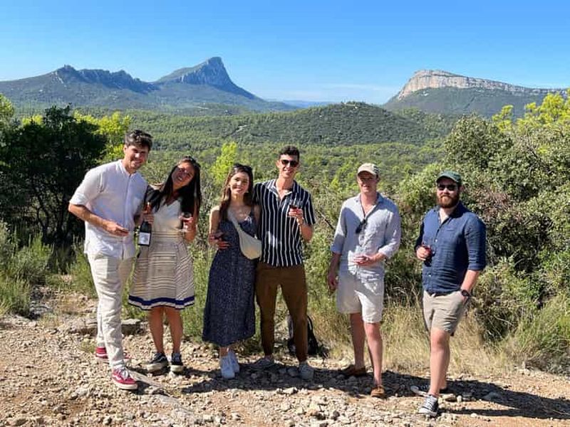 Montpellier : visite œnologique du Pic Saint-Loup