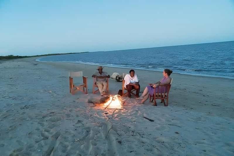 Tanzanie : Safari dans le parc national de Saadani et excursion à la plage