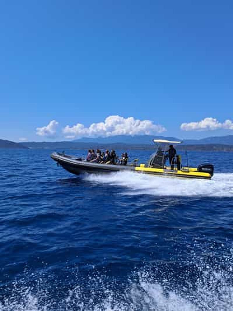 Santa-Giulia : Demi Journée en mer aux Iles Lavezzi