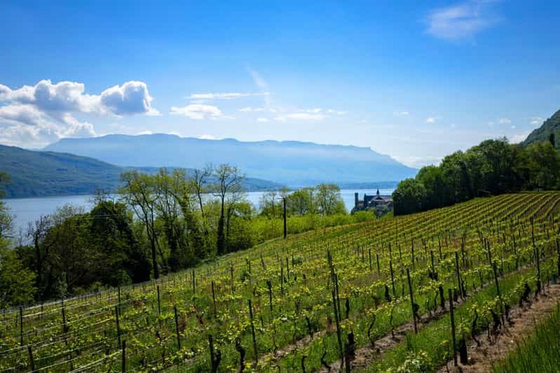 Depuis Annecy : Chambotte, Mont Revard & Dégustation de Vins Biodynamiques