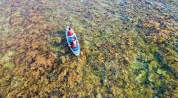 Quy Nhơn : visite d'une journée de la plage de Ky Co, Eo Gio et le village de Nhon Ly