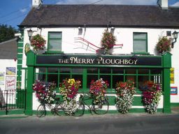 Dublin : Spectacle de la nuit irlandaise au Merry Ploughboy Pub